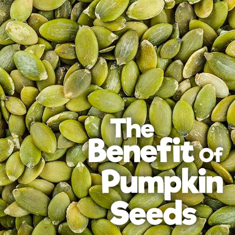 pumkin